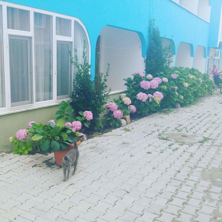 Ada Motel Türkeli Exterior foto